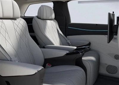 고품질 MPV-Denza D9 잘 판매됨